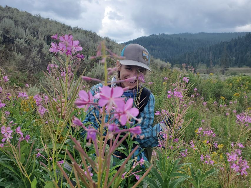 Lamar Valley: Safari Hiking Tour With Lunch - Restrictions