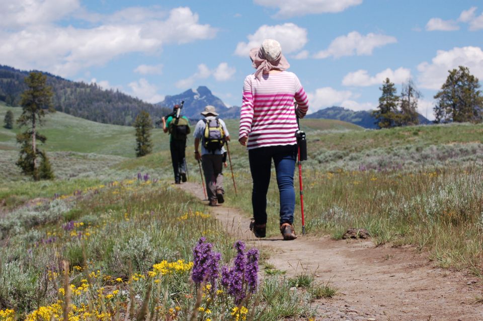 Lamar Valley: Safari Hiking Tour With Lunch - Riverside Picnic Lunch