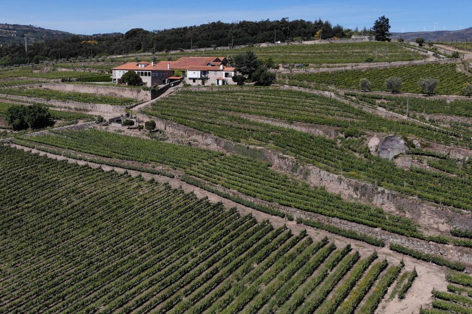 Lamego: Quinta Da Portela De Baixo Winery Tour and Tasting - Meeting Point