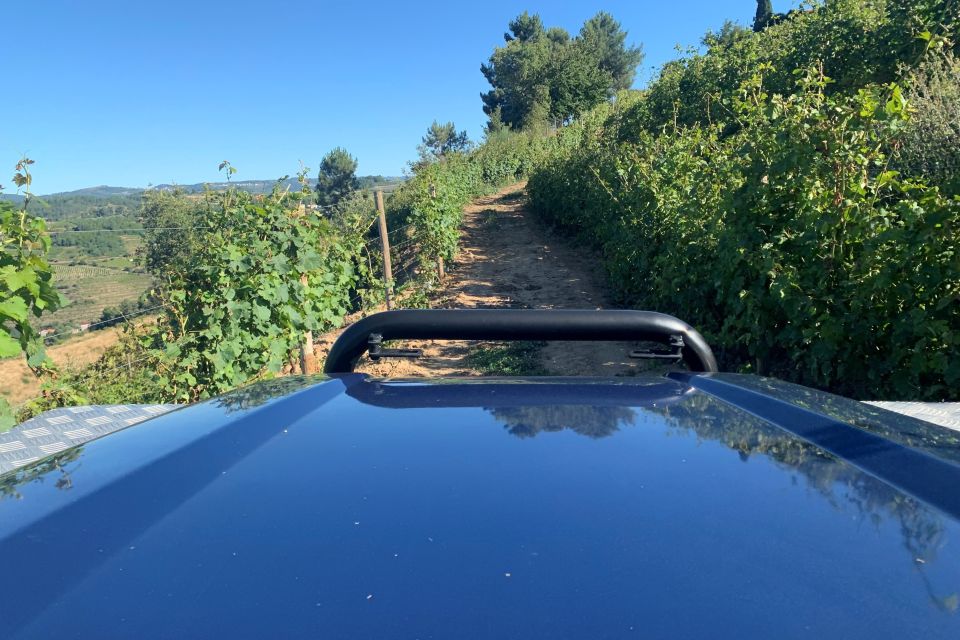 Lamego: Quinta Da Portela De Baixo Winery Tour and Tasting - Tips for Visitors