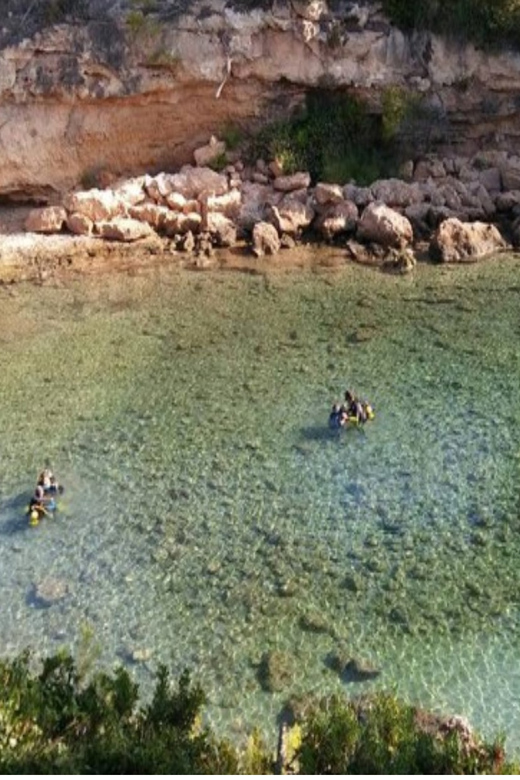 Lametlla De Mar: Sea Diving With Instructor - Important Requirements