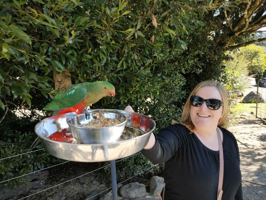 Lamington National Park, OReillys and Vineyard Tour - Frequently Asked Questions