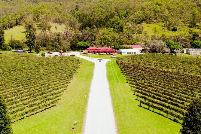 Lamington National Park, O'Reilly's & Vineyard Tour - FAQs