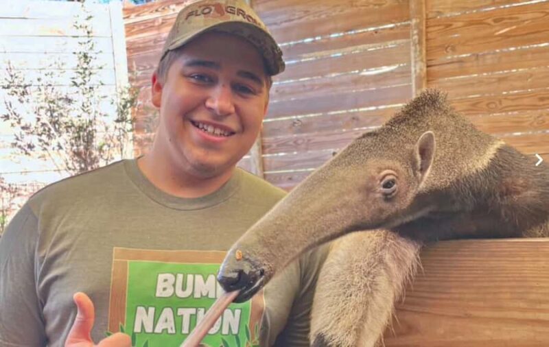 Lamont: Anteater Encounter at North Florida Wildlife Center - Lamont: Anteater Encounter at North Florida Wildlife Center — A Practical Guide for Curious Travelers