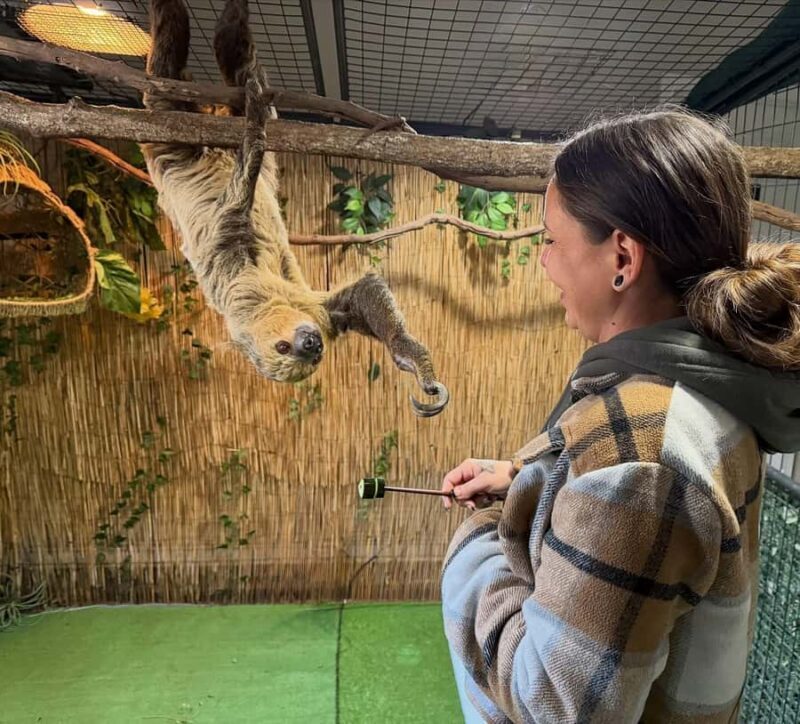Lamont: Sloth Encounter at North Florida Wildlife Center - The Experience in Detail  