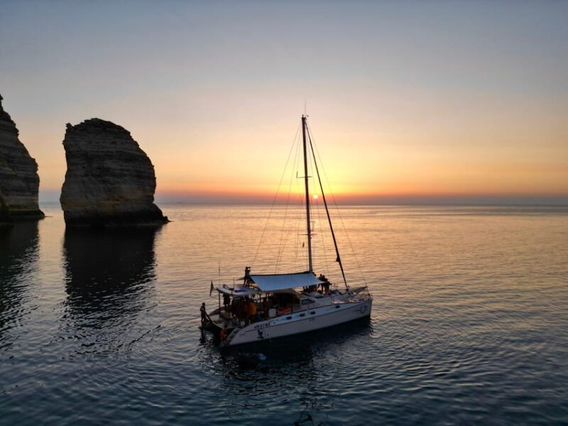 Lampedusa: Dolphin Watching With Aperitif at Sunset - Customer Reviews