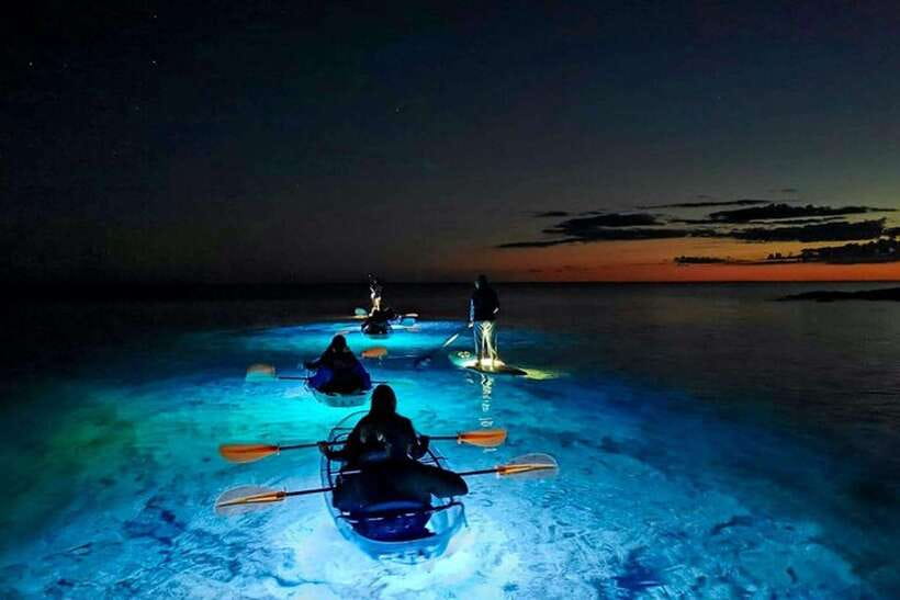 Lan Ha Bay: Bioluminescent Plankton Kayak Tour With Dinner - Highlights of the Bioluminescent Adventure