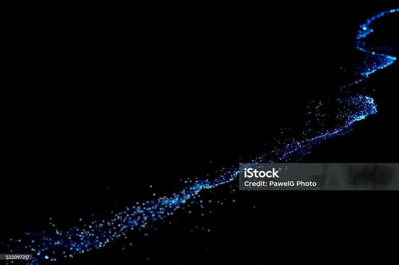Lan Ha Bay: Bioluminescent Plankton Kayak Tour With Dinner - Inclusions and Exclusions of the Tour