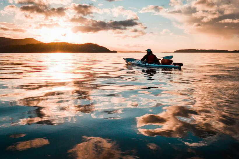 Lan Ha Bay: Bioluminescent Plankton Kayak Tour With Dinner - The Enchantment of Bioluminescent Plankton