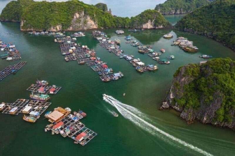 Lan Ha Bay : Kayak & Swim ( Small Group ) - Safety and Equipment