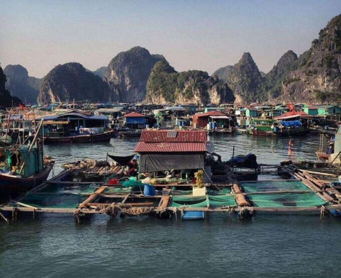 Lan Ha Bay : Kayak & Swim ( Small Group ) - Frequently Asked Questions