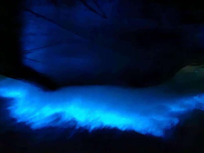 Lan Ha Bay Sunset and Night Kayak With Bioluminescence - Itinerary Highlights