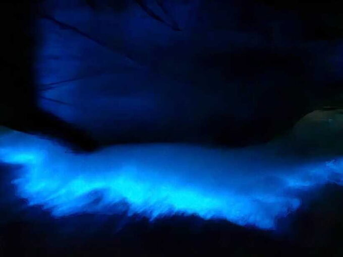 Lan Ha Bay Sunset and Night Kayak With Bioluminescence - What to Bring for a Memorable Experience