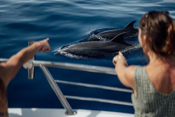 Lana'i Snorkel And Dolphin Quest with Maui Turtle Spot Tour - The Itinerary: What to Expect on Your Day Out