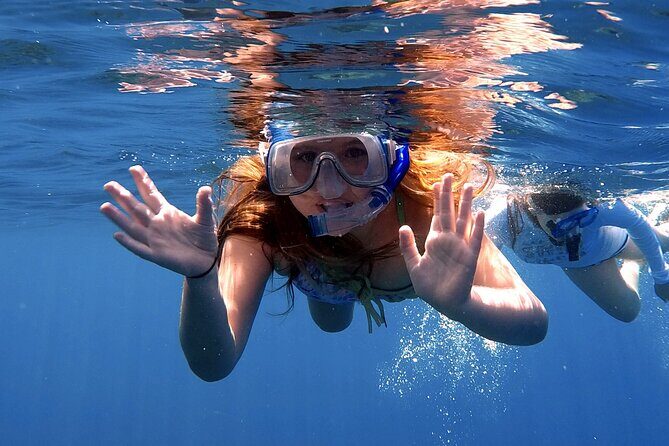 Lana'i Snorkel And Dolphin Quest with Maui Turtle Spot Tour - Authentic Experiences and Honest Feedback