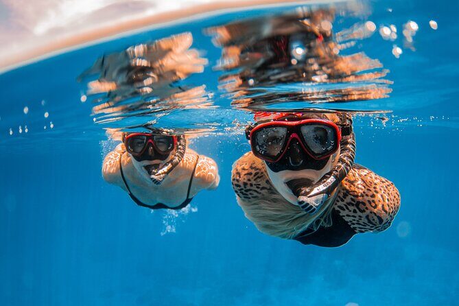 Lana'i Snorkel And Dolphin Quest with Maui Turtle Spot Tour - Who Will Love This Tour?