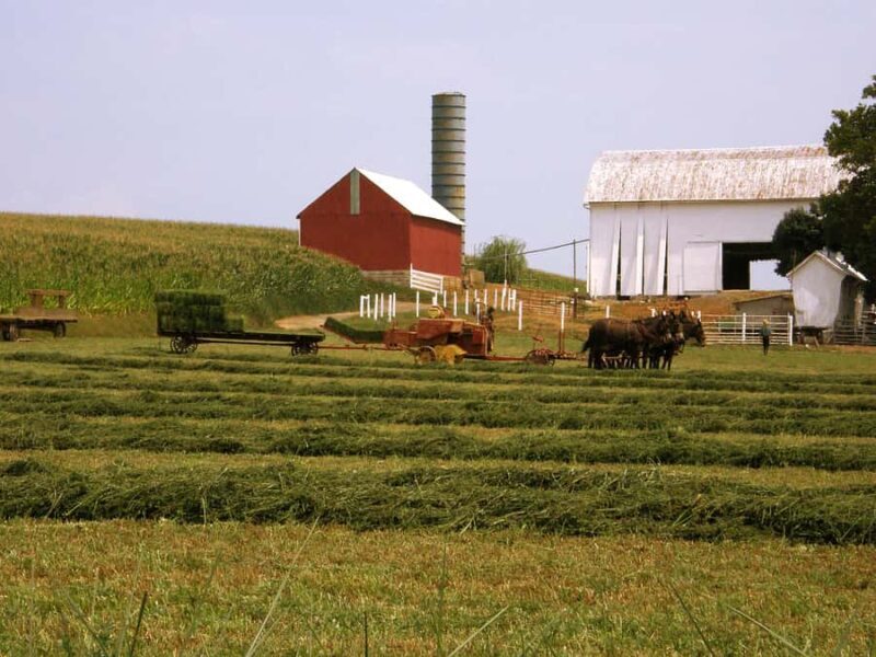 Lancaster: Amish Farmlands Guided Tour - Key Points