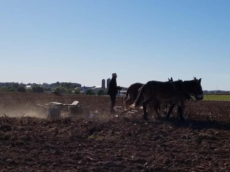 Lancaster: Amish Farmlands Guided Tour - Who Will Enjoy This Tour?