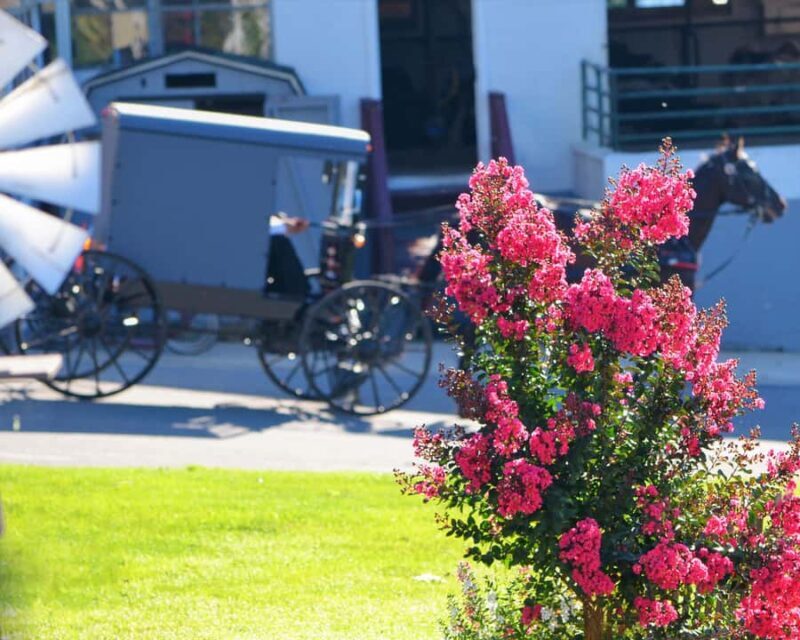 Lancaster: Amish Farmlands Guided Tour - FAQ