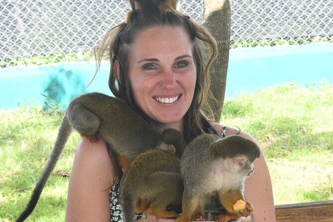 land of monkeys and silver port city tour - An In-Depth Look at the Land of Monkeys and Silver Port City Tour