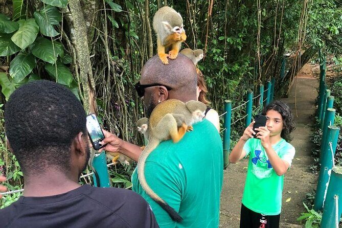 land of monkeys and silver port city tour - Final Thoughts