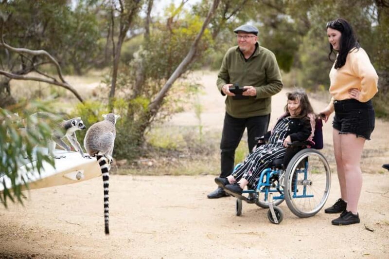 Land of the Lemurs Experience & a Day at Monarto Safari Park - What to Expect from the Land of the Lemurs Experience