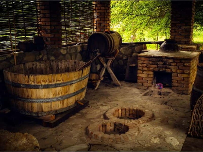 Land of the Sun Full Day Wine and Grapes Tour in Kakheti - Final Thoughts