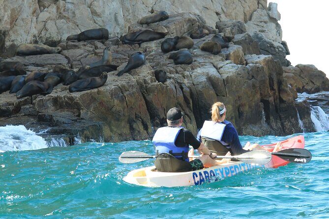 Land's End Snorkel and Kayak Experience! Round Transportation From Los Cabos - What the Tour Promises