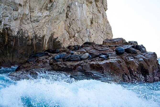 Land's End Snorkel and Kayak Experience! Round Transportation From Los Cabos - Who Would Enjoy This Tour?