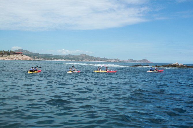 Land's End Snorkel and Kayak Experience! Round Transportation From Los Cabos - FAQ