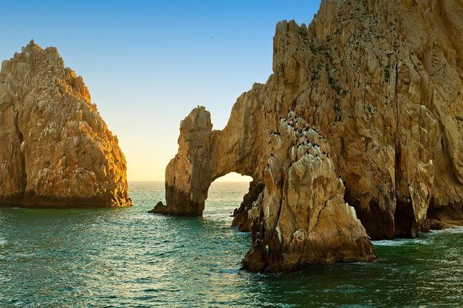 Land's End & Snorkel Tour in a Glass Bottom Boat (VisitA Cabo) - Key Points