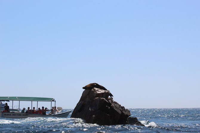 Land's End & Snorkel Tour in a Glass Bottom Boat (VisitA Cabo) - A Closer Look at the Tour Experience
