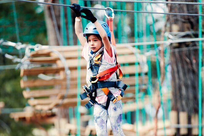 Lane Poole Park Dwellingup - Junior Tree Ropes & Ziplining - What to Expect from Your Experience