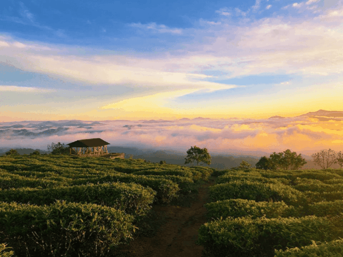 Langbiang Mountain Tour - The Sum Up