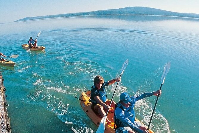 Langebaan Lagoon Island Kayak Experience - Accessibility and Fitness Requirements