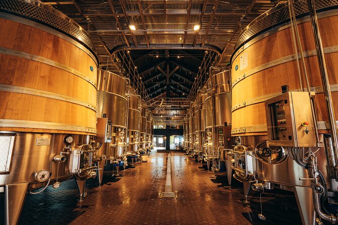 Langhe and Barolo Wine Tour From Turin - Key Points