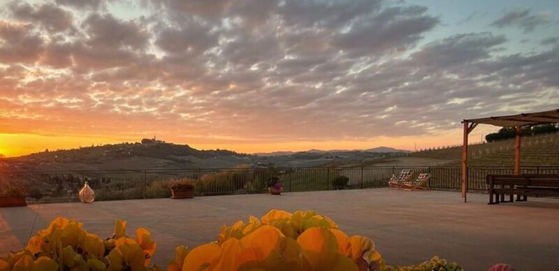 Langhe and Monferrato: Amerio Vincenzo Wine Tour and Tasting - Booking and Availability