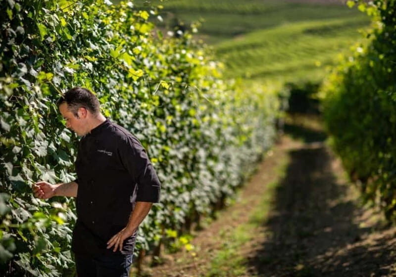 Langhe and Roero: Cooking class and tasting of Piedmontese cuisine - The Price and Its Worth