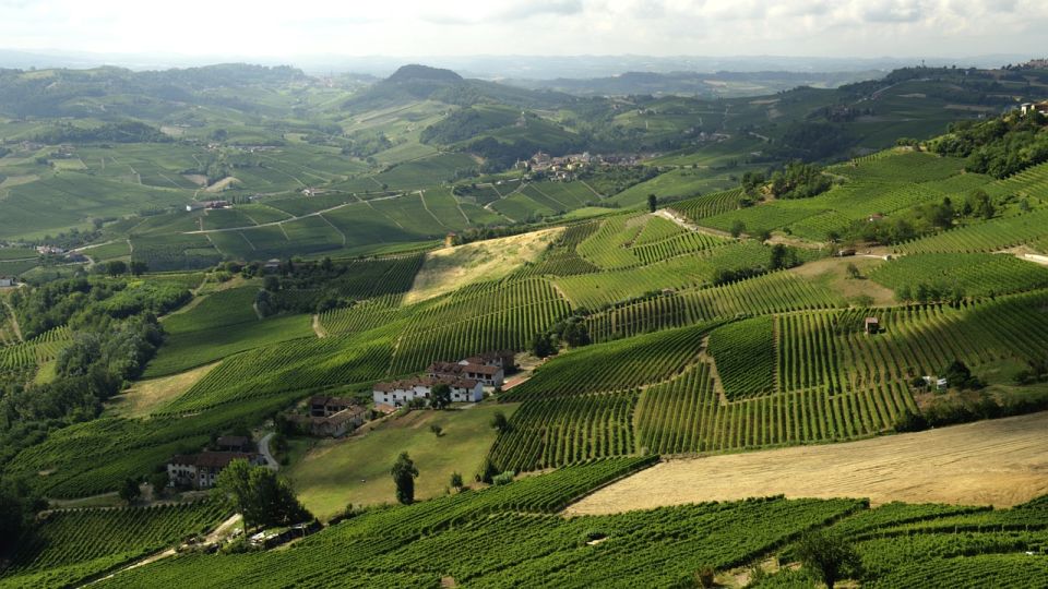 Langhe / Barolo / Alba - Ferrari Tour - Booking Details
