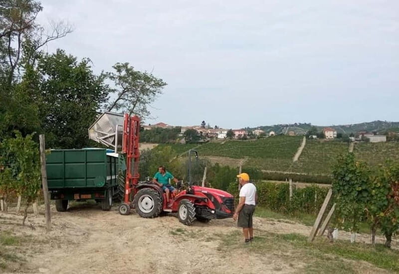 Langhe: grape seasons. Winery and vineyard tour with tasting - Who Would Love This Tour?
