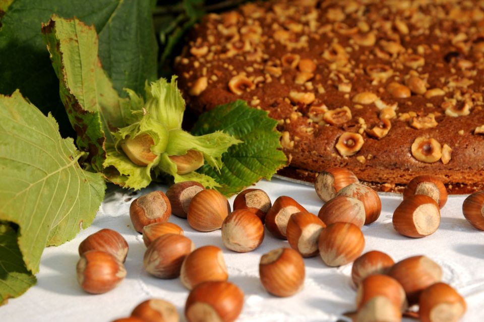 Langhe: Pastry Class With the World's Best Hazelnuts - Frequently Asked Questions