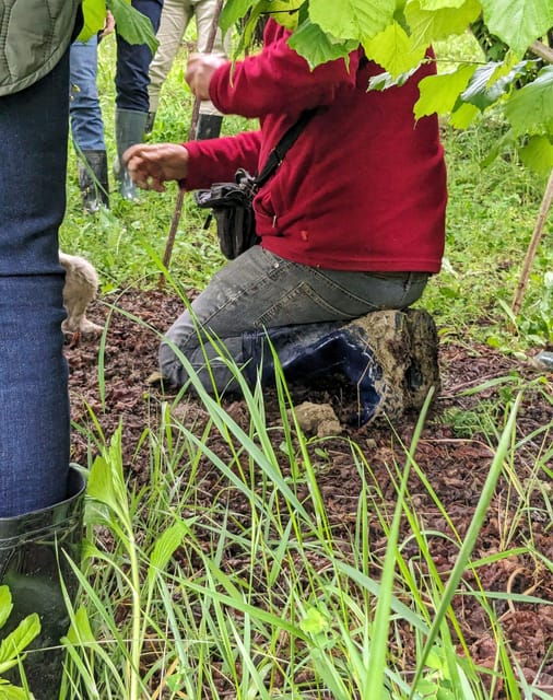 Langhe: Truffle Hunt With Local Trifulau and Dog - Meeting Point and Requirements