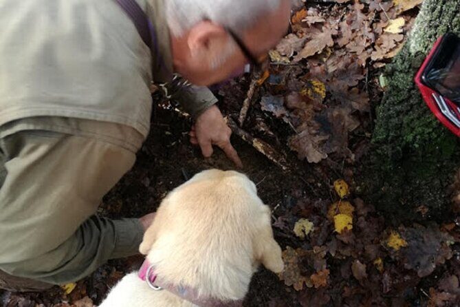 Langhe Truffle hunting Experience - FAQ