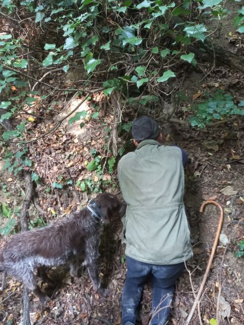 Langhe: Truffle Hunting Experience - Key Points