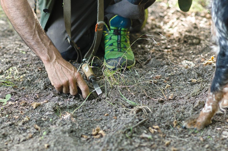 Langhe: Truffle Hunting Experience - Meeting Point and Transportation
