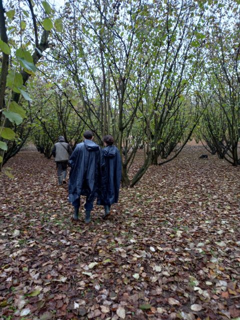 Langhe: Truffle Hunting Experience - Availability and Suitability