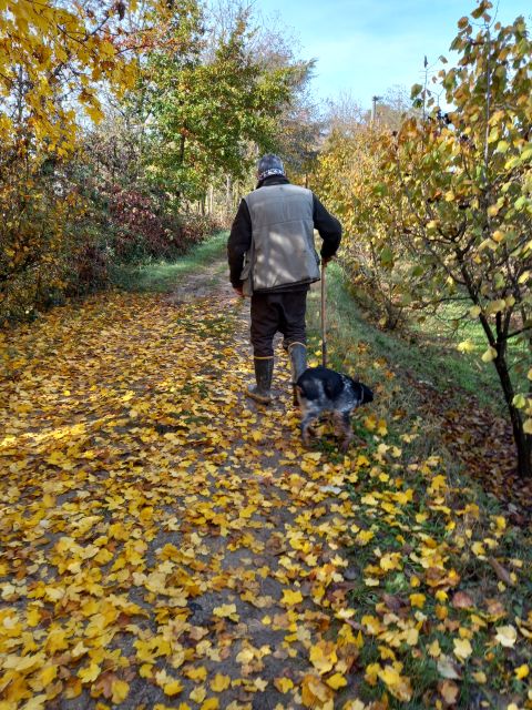 Langhe: Truffle Hunting Experience - Learning About Truffle Growth and Varieties