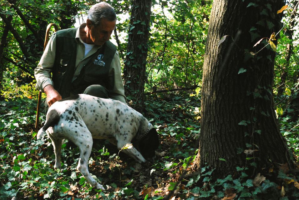 Langhe: Truffle Hunting Tour at Sunset - Important Tour Information