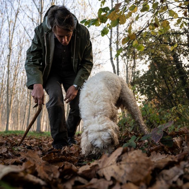 Langhe: Truffle Hunting Tour - Ask Away