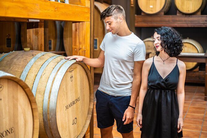 Langhe Vespa Electric Tour - Discover the Langhe Vespa Electric Tour: A Practical Guide for Curious Travelers